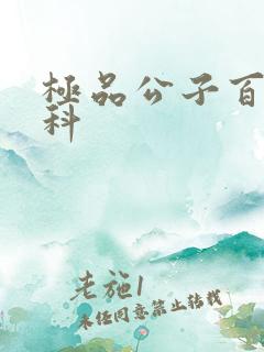 极品公子百度百科