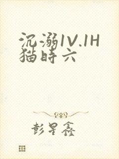 沉溺1V.1H猫时六