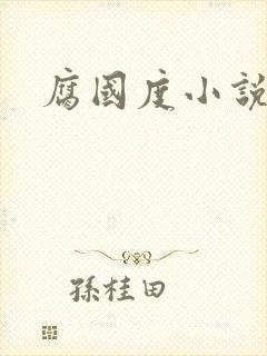 腐国度小说