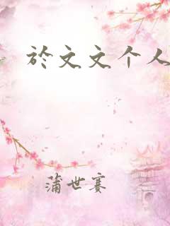 于文文个人简历