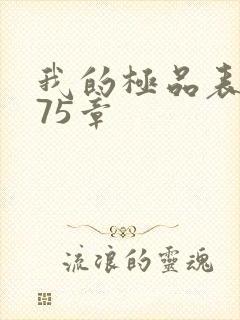 我的极品表嫂第75章