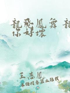 龙飞凤舞 龙王你好坏