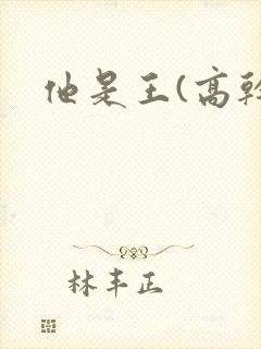 他是王(高干)