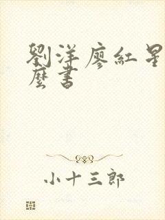 刘洋廖红星是什么书