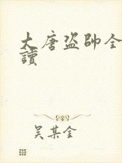 大唐盗帅全文阅读