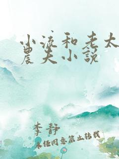小流和老太69农夫小说