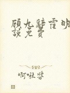 顾九辞霍明澈小说免费