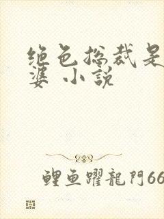 绝色总裁是我老婆 小说