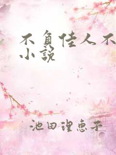 不负佳人不负卿小说