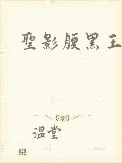 圣影腹黑王子帮