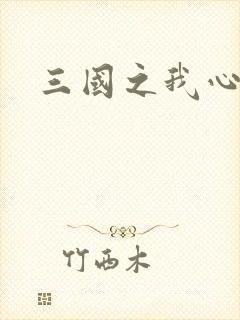 三国之我心狂想