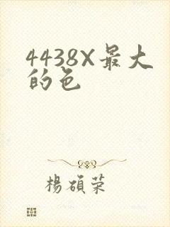 4438X最大的色