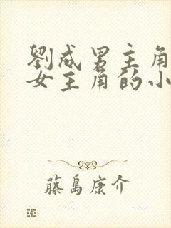 刘成男主角刘雪女主角的小说