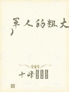 军人的粗大(h)