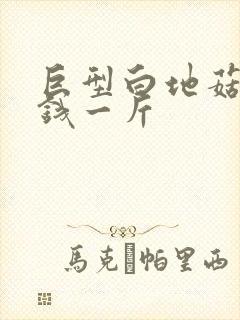 巨型白地菇多少钱一斤