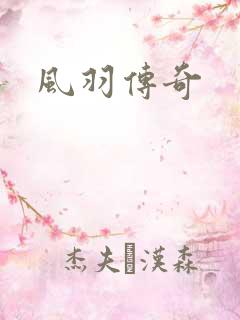 风羽传奇