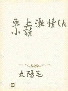 车上激情(h)小说