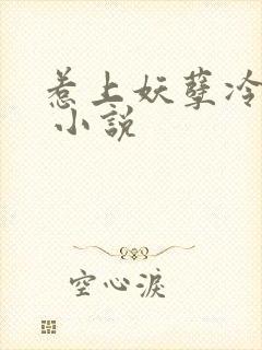 惹上妖孽冷殿下 小说