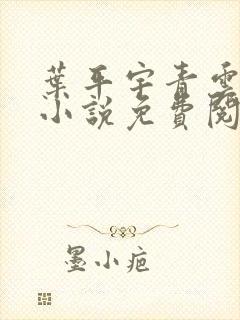 叶平宇青云直上小说免费阅读