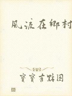 风流在乡村