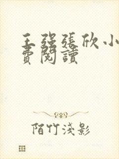 王强张欣小说免费阅读