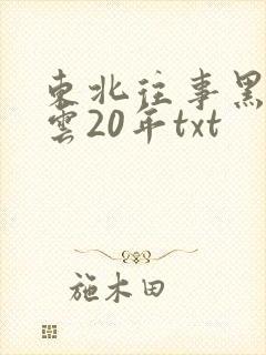 东北往事黑道风云20年txt