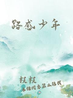 路感少年