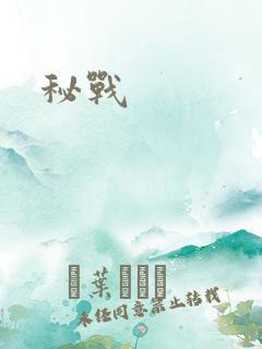 秘战
