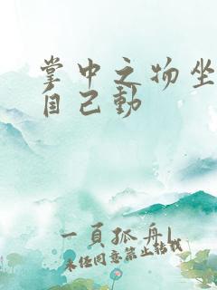 掌中之物坐上来自己动