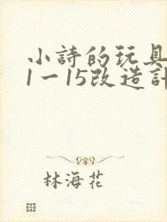 小诗的玩具日记1一15改造计划