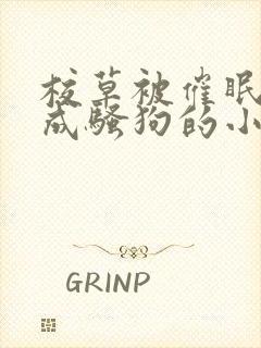 校草被催眠洗脑成骚狗的小说