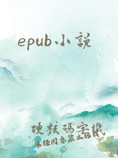 epub小说