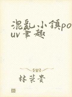 混乱小镇popuv笔趣