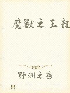 魔兽之王龙傲天