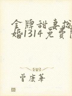 金牌甜妻总裁宠婚1314免费阅读