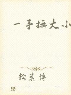 一手抚大小说