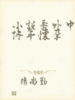 小说番外中结局佟年怀孕