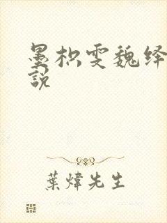 墨枳雯魏绎颔小说