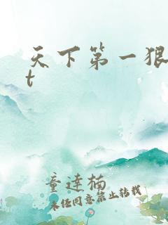 天下第一狠txt