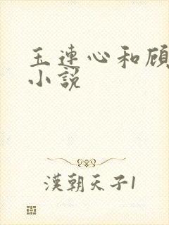 玉连心和顾承泽小说