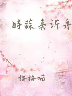 时苏秦沂舟小说