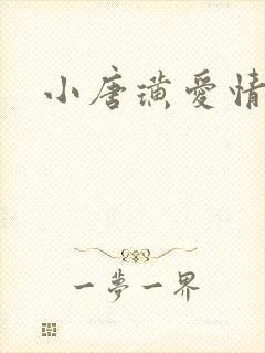 小唐璜爱情历史