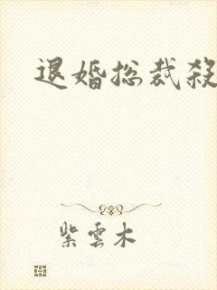 退婚总裁杀手妻