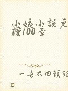 小姨小说免费阅读100章