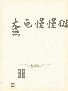 大龟慢慢挺进张燕