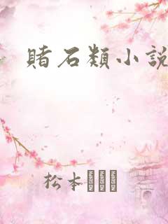 赌石类小说