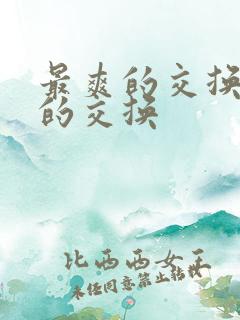 最爽的交换疯狂的交换