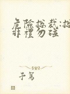 危险总裁:总裁非礼勿碰