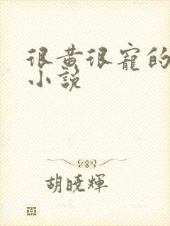 很黄很宠的总裁小说