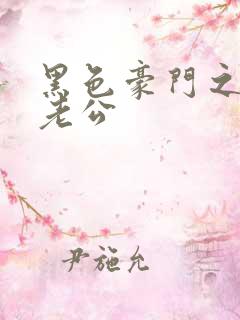 黑色豪门之王子老公